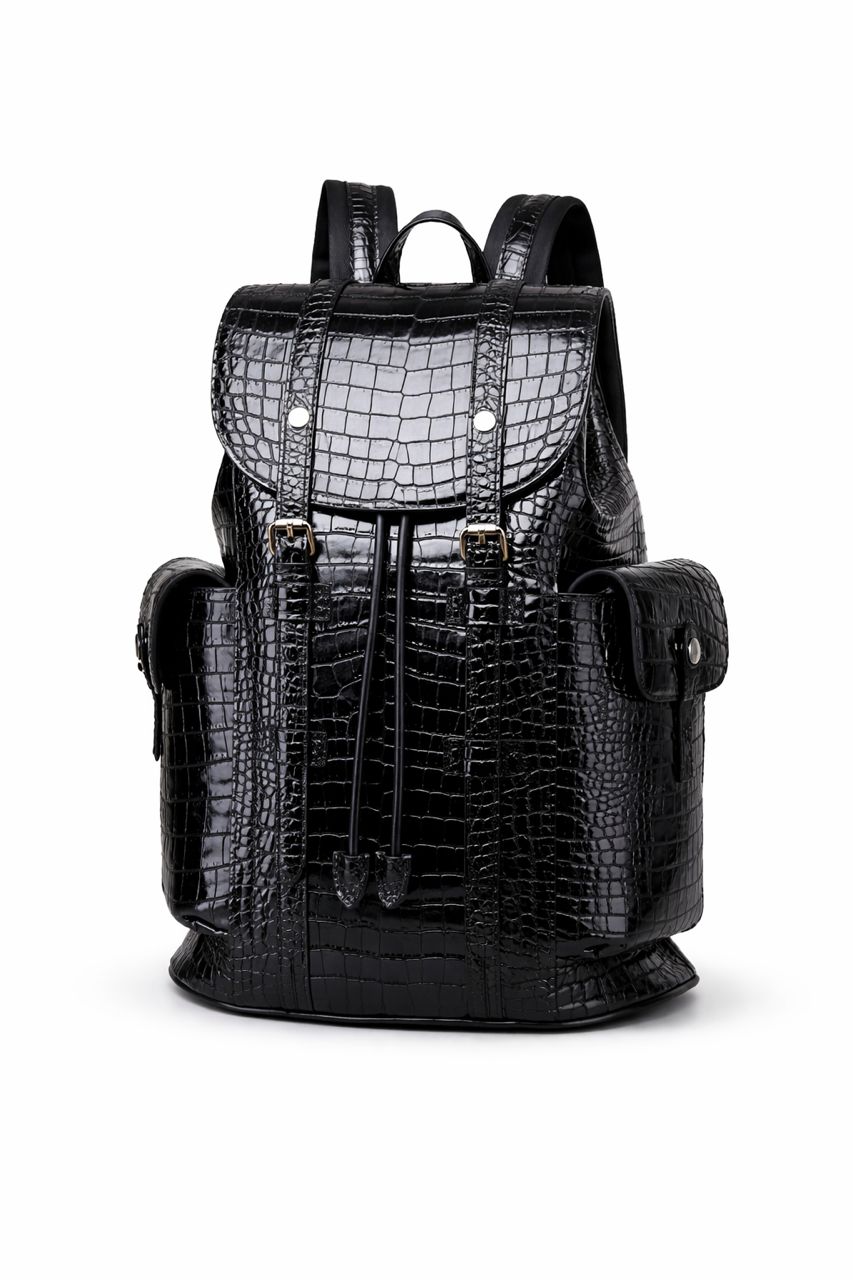 Luxury croco bag